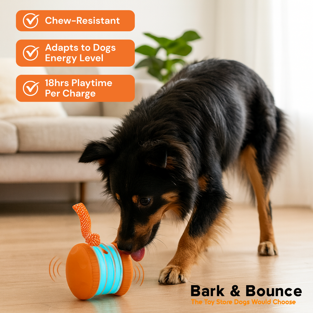 Bark & Bounce™ Stimulation Ball